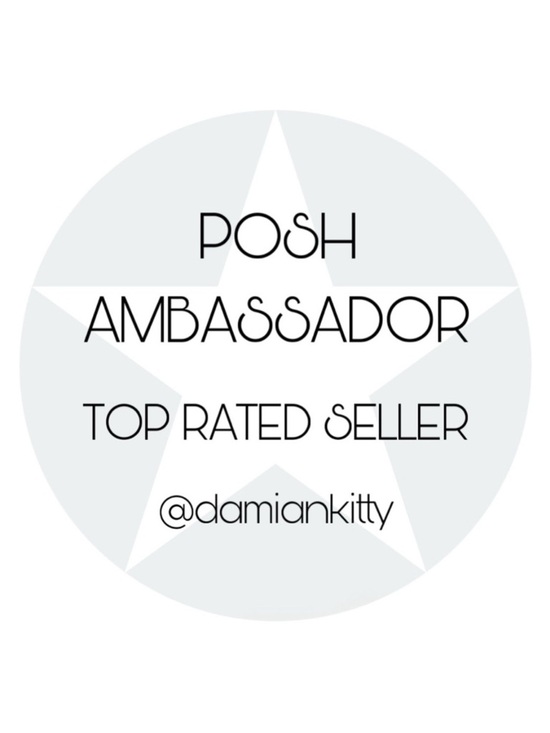 Other - 💫🌟✨ Posh Ambassador! ✨🌟💫